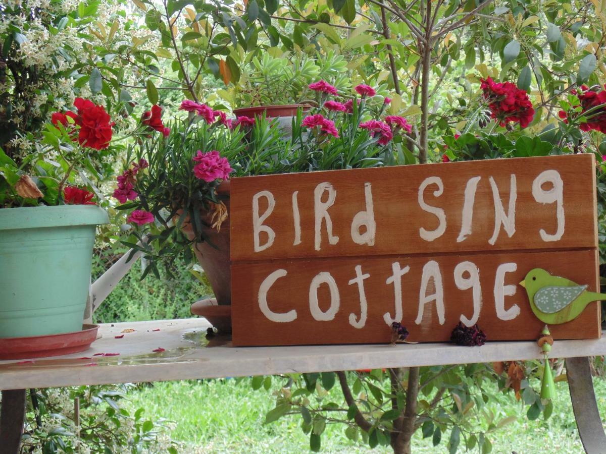 Birdsing Cottage Dassia  Ngoại thất bức ảnh